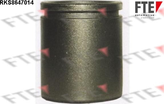 FTE 9313077 - Piston, əyləc kaliperi furqanavto.az