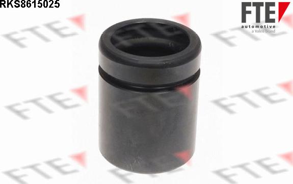 FTE 9313140 - Piston, əyləc kaliperi furqanavto.az