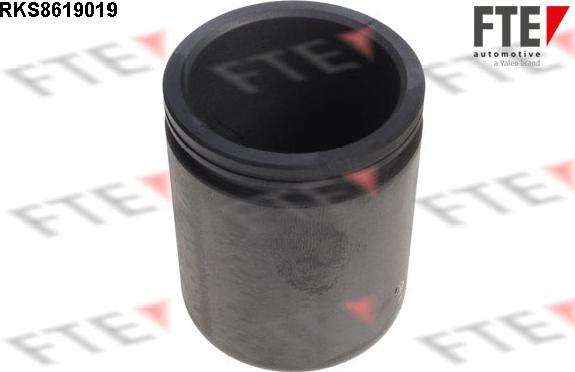 FTE 9313161 - Piston, əyləc kaliperi furqanavto.az