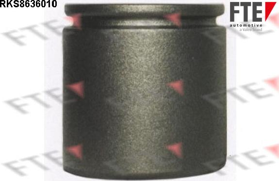 FTE 9313328 - Piston, əyləc kaliperi furqanavto.az