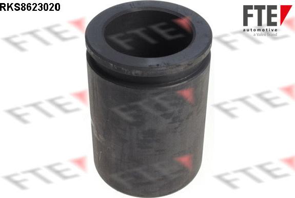 FTE 9313204 - Piston, əyləc kaliperi furqanavto.az