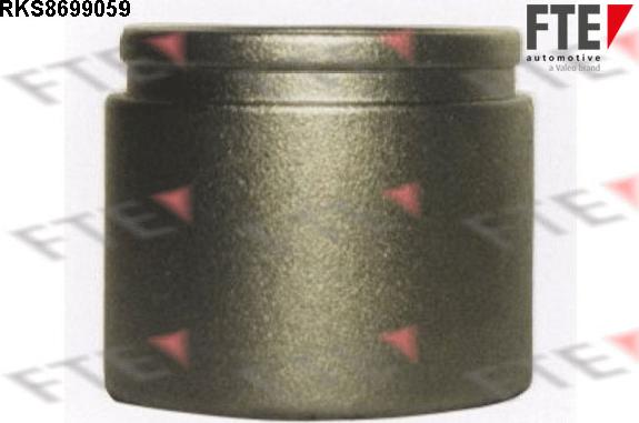 FTE RKS8699059 - Piston, əyləc kaliperi furqanavto.az