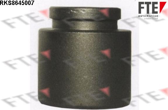 FTE RKS8645007 - Piston, əyləc kaliperi furqanavto.az