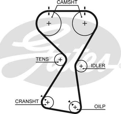 Gates 5534XS - Vaxt kəməri furqanavto.az