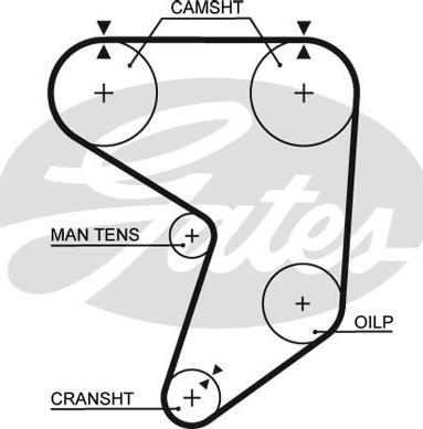 Gates T237RB - Vaxt kəməri furqanavto.az