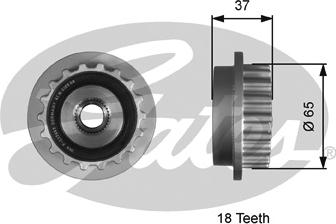 Gates T36179 - Kasnak, alternator, sərbəst dönərli mufta www.furqanavto.az