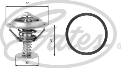 Gates TH05377G1 - Termostat, soyuducu furqanavto.az