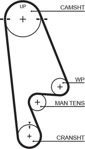 GATES-MX T244 - Vaxt kəməri furqanavto.az