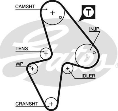 GATES-SEA T916 - Vaxt kəməri furqanavto.az