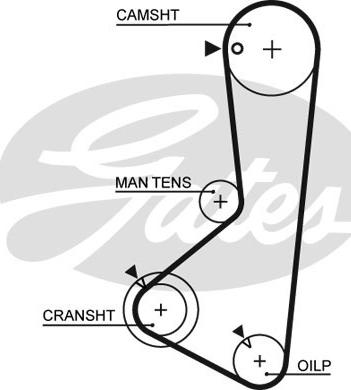 GATES-SEA T933 - Vaxt kəməri furqanavto.az