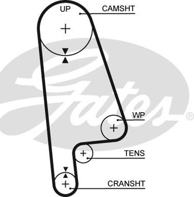 GATES-SEA T145 - Vaxt kəməri furqanavto.az