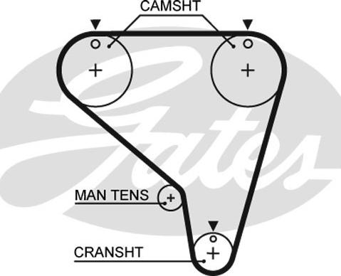 GATES-SEA T891 - Vaxt kəməri furqanavto.az