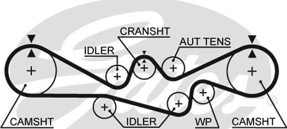 GATES-SEA T304 - Vaxt kəməri furqanavto.az