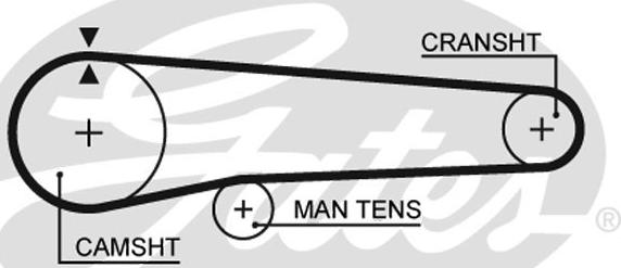 GATES-SEA T300 - Vaxt kəməri furqanavto.az