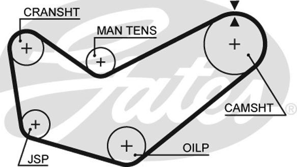GATES-SEA T299 - Vaxt kəməri furqanavto.az