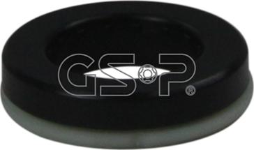 GSP 519959 - Yollanan podşipnik, asma dayaq dayağının montajı furqanavto.az