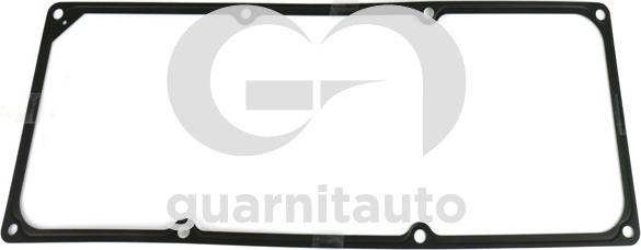 Guarnitauto 113741-8500 - Conta, silindr baş örtüyü furqanavto.az