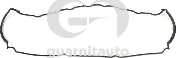 Guarnitauto 113766-8000 - Conta, silindr baş örtüyü furqanavto.az