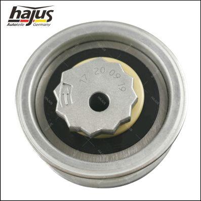 hajus Autoteile 1091049 - Vaxt kəməri dəsti furqanavto.az