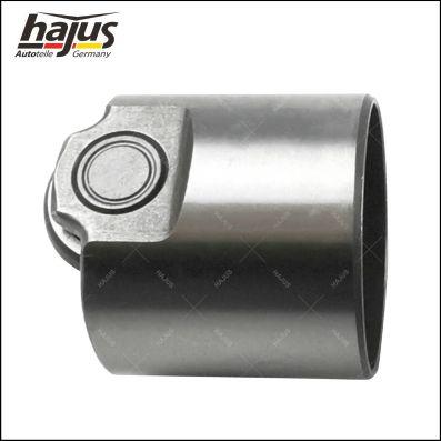 hajus Autoteile 1091050 - Plunger, yüksək təzyiqli nasos furqanavto.az