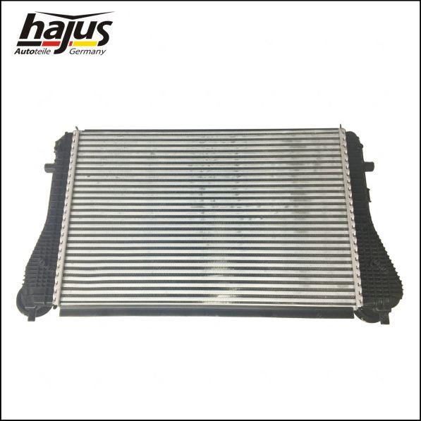 hajus Autoteile 1151009 - Intercooler, şarj cihazı furqanavto.az