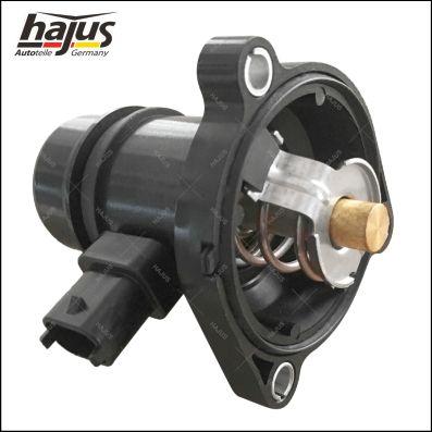 hajus Autoteile 1211411 - Termostat, soyuducu furqanavto.az