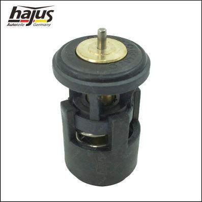 hajus Autoteile 1211168 - Termostat, soyuducu furqanavto.az