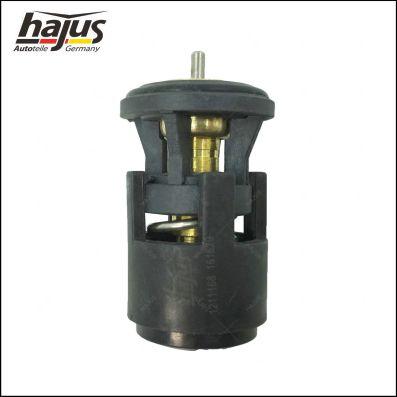 hajus Autoteile 1211168 - Termostat, soyuducu furqanavto.az