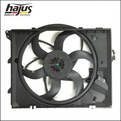 hajus Autoteile 1211344 - Fen, radiator furqanavto.az