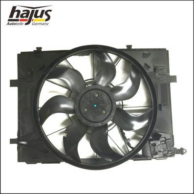 hajus Autoteile 1211343 - Fen, radiator furqanavto.az