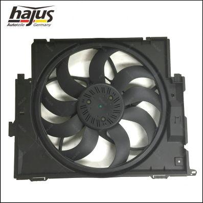 hajus Autoteile 1211347 - Fen, radiator furqanavto.az