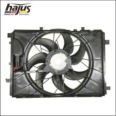 hajus Autoteile 1211309 - Fen, radiator furqanavto.az