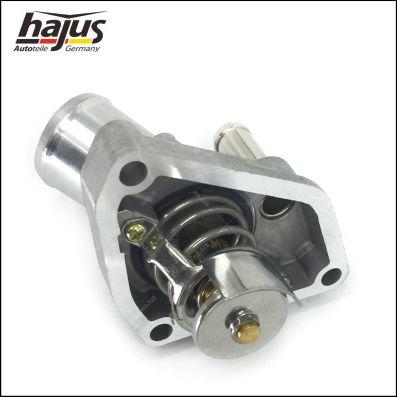 hajus Autoteile 1211382 - Termostat, soyuducu furqanavto.az