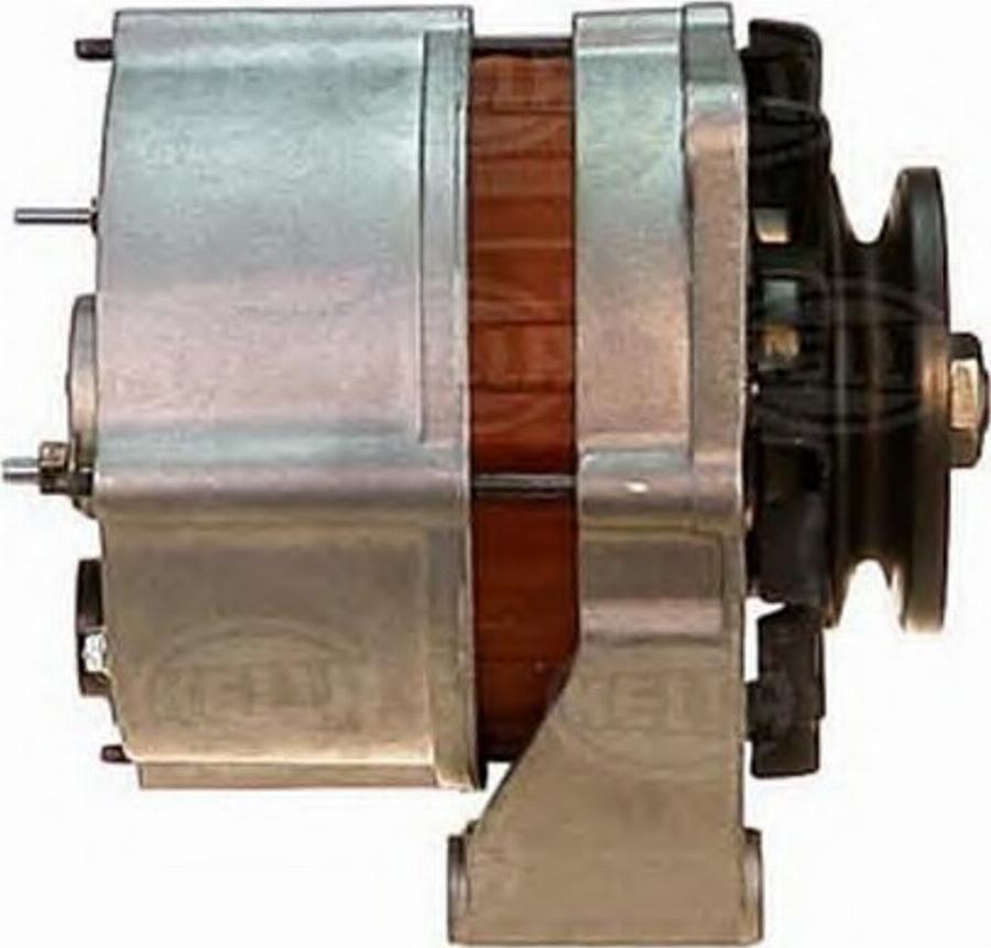 HELLA 8EL 725 743-001 - Alternator furqanavto.az