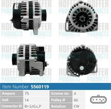 Hoffer H5560119 - Alternator furqanavto.az