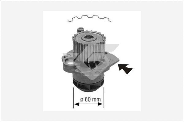 Hutchinson WP0058V - Su nasosu furqanavto.az