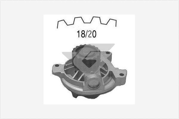 Hutchinson WP0061V - Su nasosu furqanavto.az