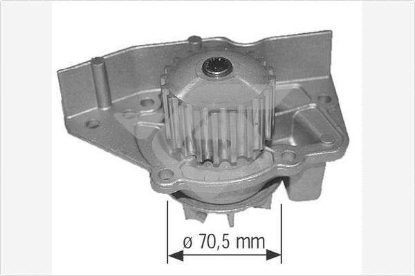 Hutchinson WP0030V - Su nasosu furqanavto.az