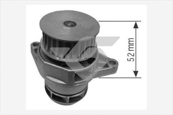 Hutchinson WP0024V - Su nasosu furqanavto.az