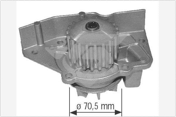 Hutchinson WP30 - Su nasosu furqanavto.az