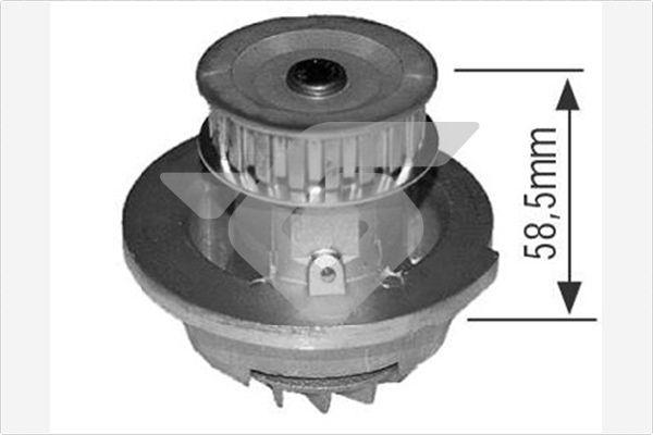 Hutchinson WP279 - Su nasosu furqanavto.az