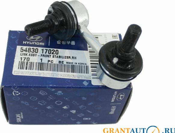 Hyundai 54830-17020 - Çubuq / Strut, stabilizator furqanavto.az