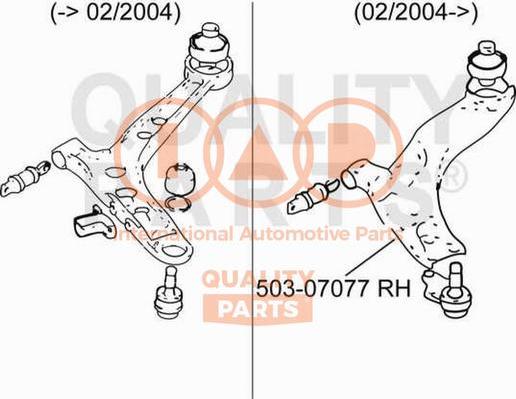 IAP QUALITY PARTS 503-07077 - Yolun idarəedici qolu furqanavto.az