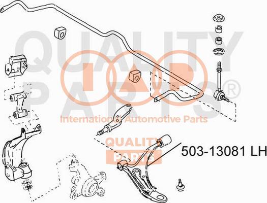 IAP QUALITY PARTS 503-13081 - Yolun idarəedici qolu furqanavto.az