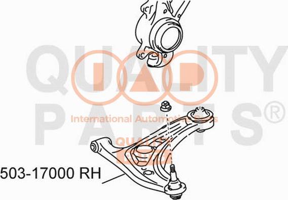 IAP QUALITY PARTS 503-17000 - Yolun idarəedici qolu furqanavto.az