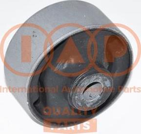 IAP QUALITY PARTS 511-06038 - Nəzarət Kolu / Arxa Qol furqanavto.az