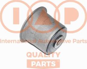 IAP QUALITY PARTS 511-10043 - Nəzarət Kolu / Arxa Qol furqanavto.az