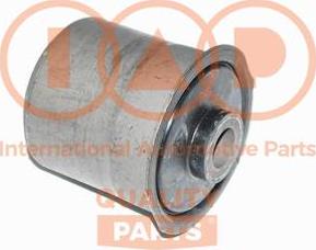 IAP QUALITY PARTS 511-10042 - Nəzarət Kolu / Arxa Qol furqanavto.az