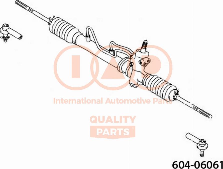 IAP QUALITY PARTS 604-06061 - Bağlama çubuğunun sonu furqanavto.az