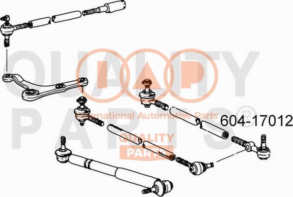 IAP QUALITY PARTS 604-17012 - Bağlama çubuğunun sonu furqanavto.az